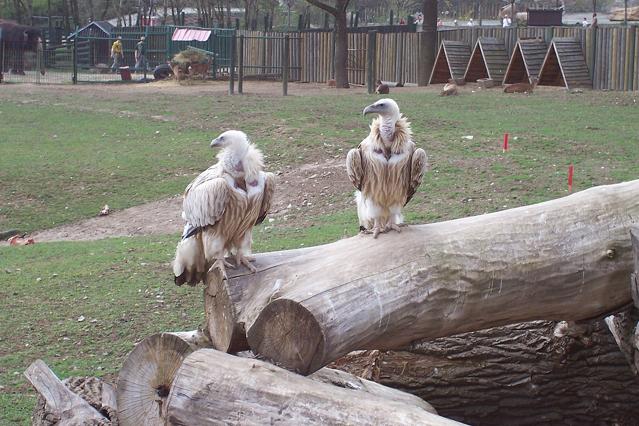 Ústí nad Labem Zoo